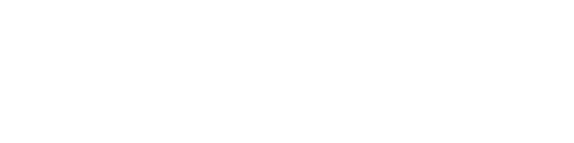 MisX